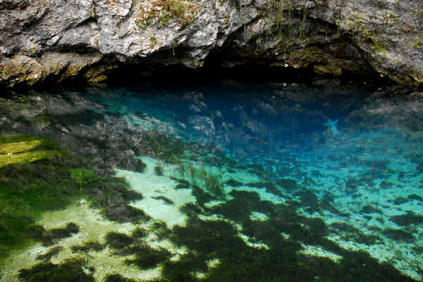 risorgiva del Gorgazzo a Polcenigo, fiume Livenza