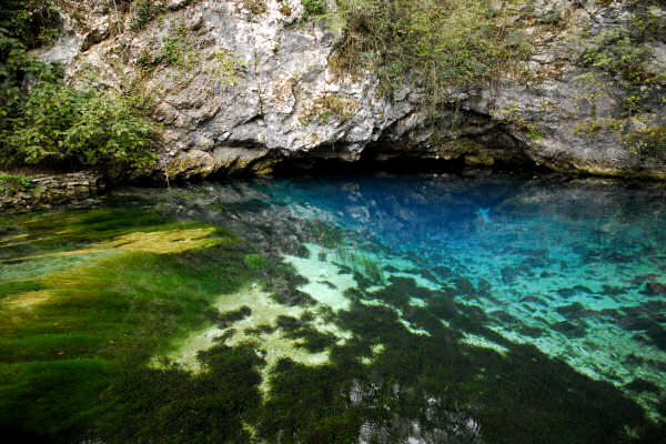 risorgiva del Gorgazzo a Polcenigo, fiume Livenza