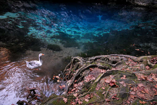 risorgiva del Gorgazzo a Polcenigo, fiume Livenza