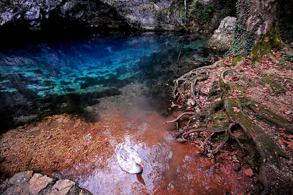 risorgiva del Gorgazzo a Polcenigo, fiume Livenza