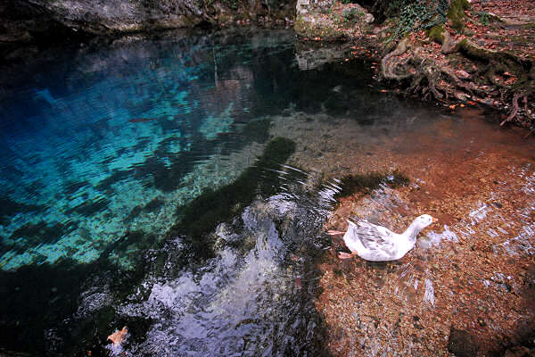 risorgiva del Gorgazzo a Polcenigo, fiume Livenza