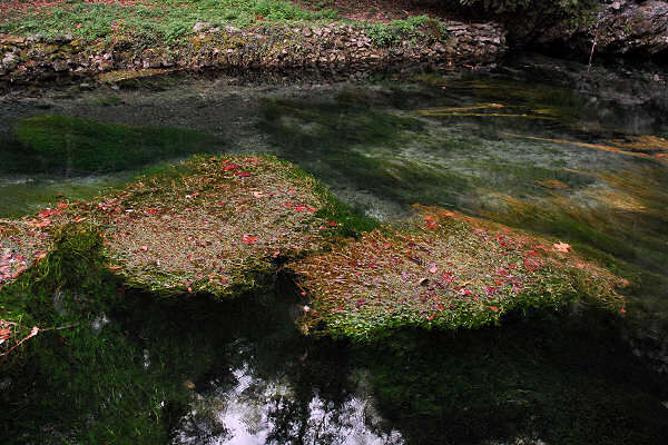 risorgiva del Gorgazzo a Polcenigo, fiume Livenza