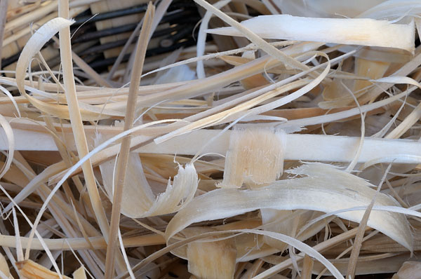 Polcenigo, sagra dei Sest