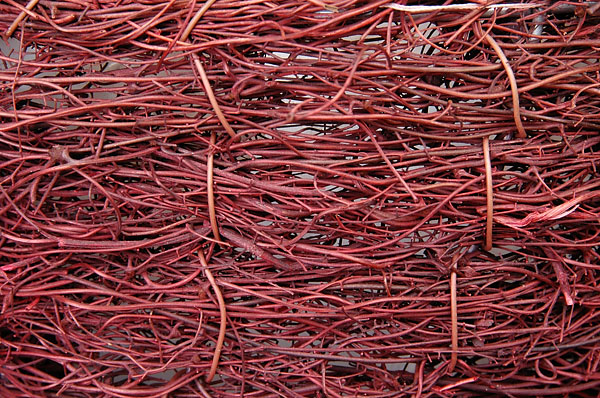 Polcenigo, sagra dei Sest