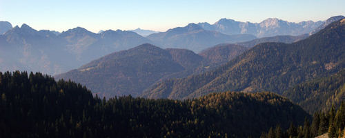 foresta di Tarvisio