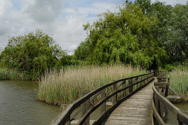 Oasi naturalistica Valle Canal Novo a Marano Lagunare