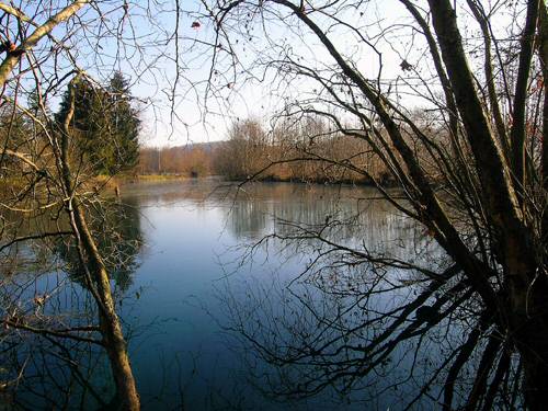 Gorgazzo delle sorgenti della Livenza