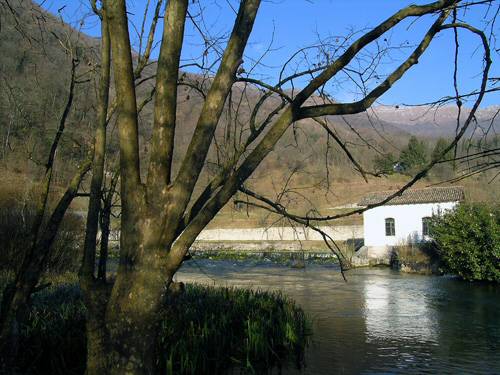 Gorgazzo delle sorgenti della Livenza