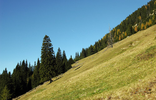 salendo a Sella Bistrizza