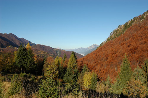 salendo al bivacco Manzano al monte Guarda