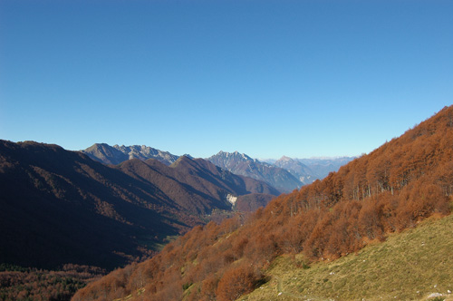 salendo al bivacco Manzano al monte Guarda