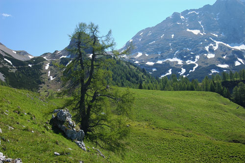 salendo verso casera Bordaglia di Sopra