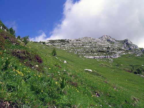 verso il passo degli Scalini