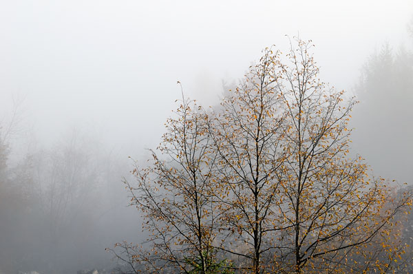 Erto e la valle del Vajont