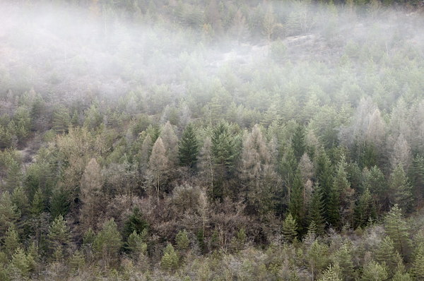 autunno a Erto e nella valle del Vajont