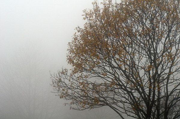 autunno a Erto e nella valle del Vajont