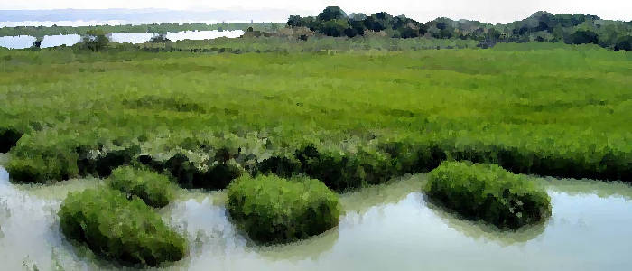 Friuli Venezia Giulia Carnia