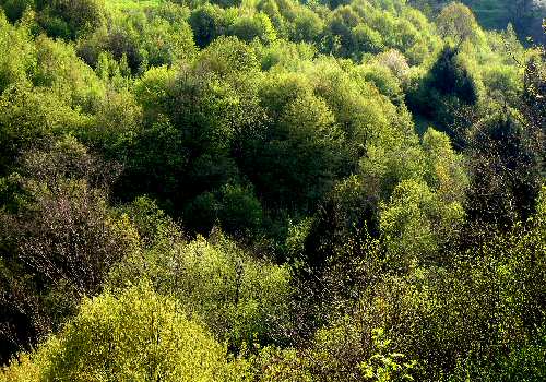 Alano di Piave (Belluno) - Monte Grappa