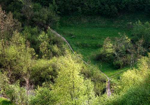 Alano di Piave (Belluno) - Monte Grappa