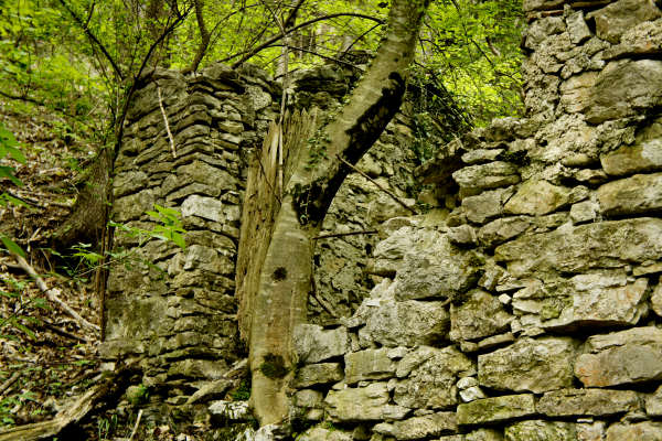 Campo f.lla SanDaniele ponte La Stua Colmirano, Alano di Piave monte Grappa