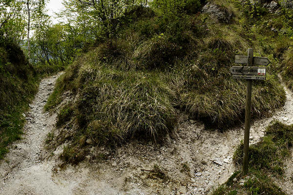 Campo f.lla SanDaniele ponte La Stua Colmirano, Alano di Piave monte Grappa
