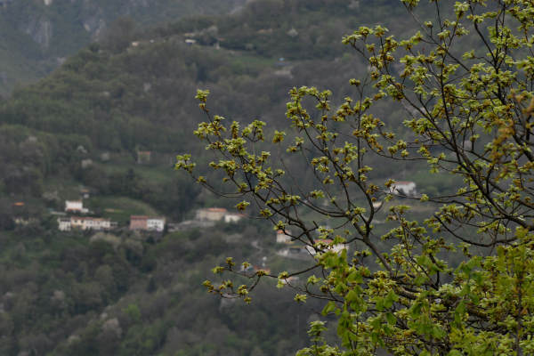 Quero, monte Cornella, Cilladon, Schievenin - valle di Alano, monte Grappa