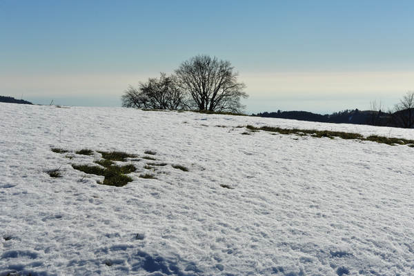 monte Asolone, Col della Beretta, Cima Grappa