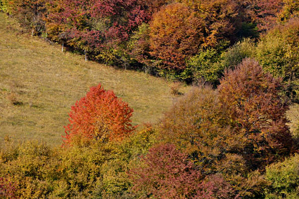 monte Asolone, Val dea Giara
