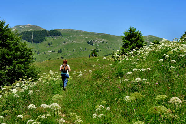 Campo Croce, Camol, Legnarola, val Poise