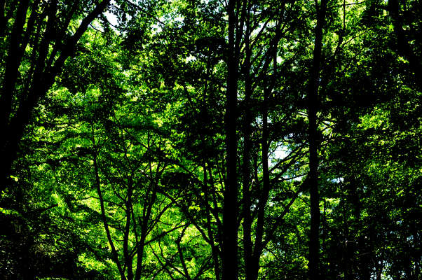 Campo Croce, Camol, Legnarola, val Poise