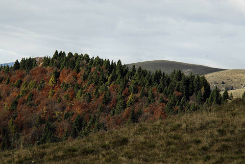 Cima Grappa monte Grappa
