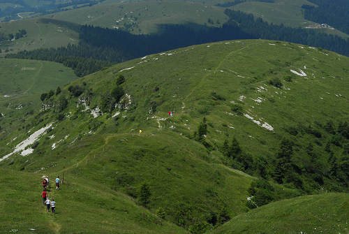 Cima Grappa - Monte Grappa