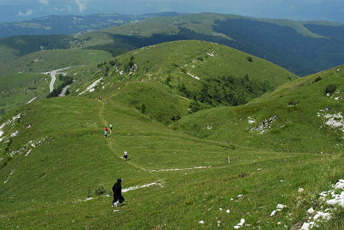 Cima Grappa - Monte Grappa