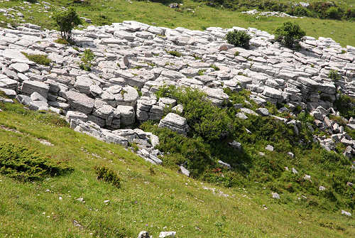 Cima Grappa - Monte Grappa