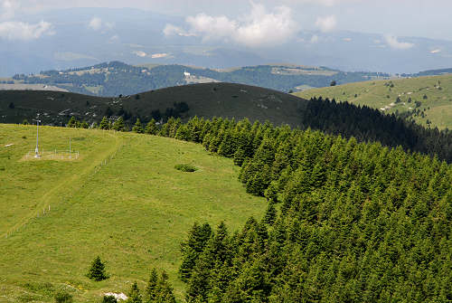 Cima Grappa - Monte Grappa