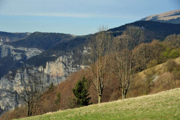 Cismon del Grappa, Val Goccia Cesilla, Col dei Prai