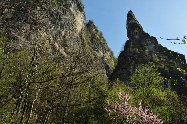 Cismon del Grappa, Val Goccia Cesilla, Col dei Prai
