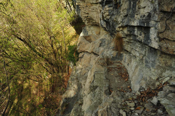 Cismon del Grappa, Val Goccia Cesilla, Col dei Prai