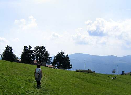 rifugio Alpe Madre ai Colli Alti Col Fenilon nel monte Grappa