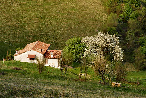 sistema fortificato di Col Andreon, zona Camposolagna sul Monte Grappa