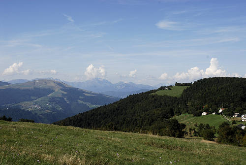 Colli Alti - Monte Grappa