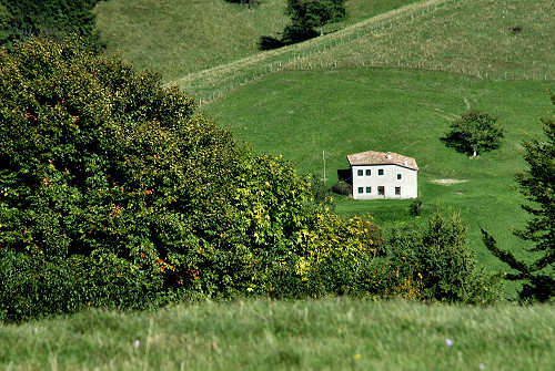 Colli Alti - Monte Grappa