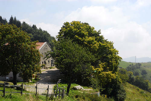 Colli Alti - Monte Grappa