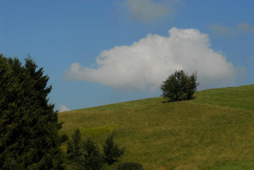 Colli Alti - Monte Grappa