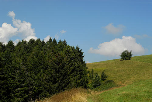 Colli Alti - Monte Grappa