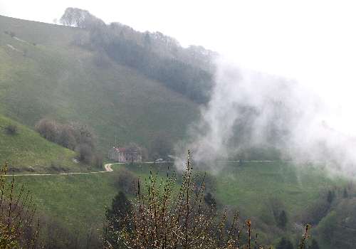 strada delle Penise o Moschina Bassa