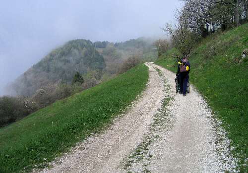strada delle Penise o Moschina Bassa