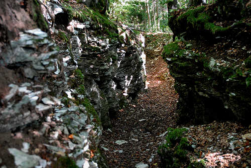 Trincea di San Giovanni ai Colli Alti - Monte Grappa