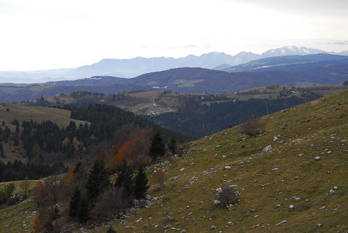 Valle delle Foglie, Colli Vecchi, Cima Grappa