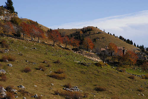 Valle delle Foglie, Colli Vecchi, Cima Grappa
